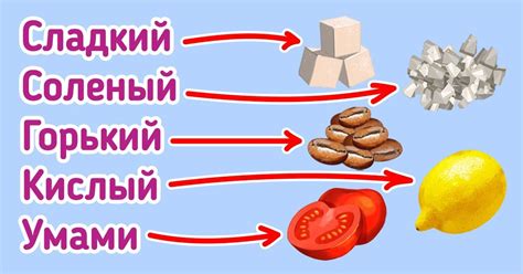 Основные черты вкуса человека