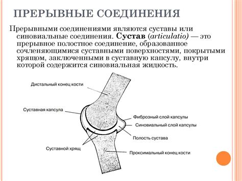 Основные элементы конструкции подмостей