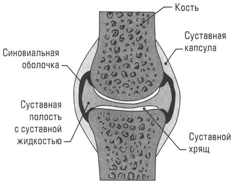 Основные элементы подпалов