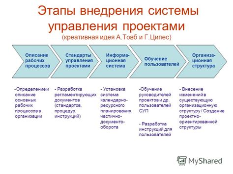 Основные этапы внедрения и реализации РСМ