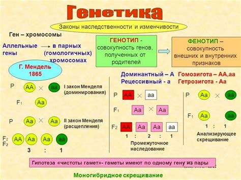 Основы генетики и наследования