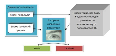 Основы проверки биометрии