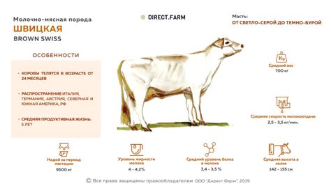 Особенности Коровы яровой