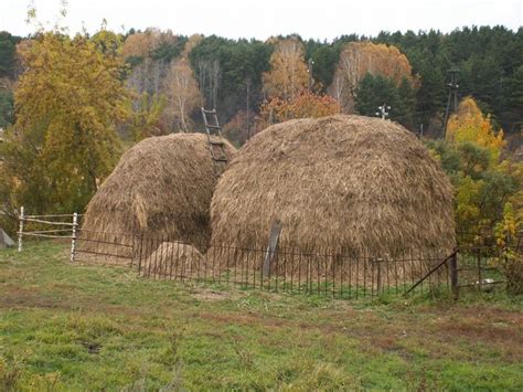 Особенности Скирд