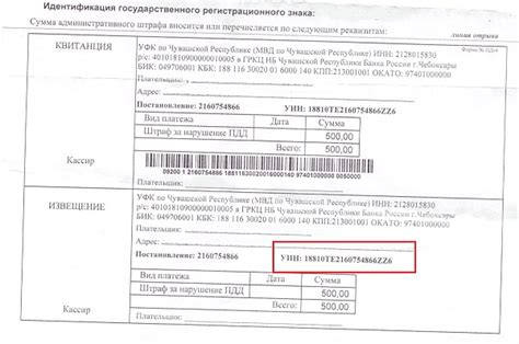 Особенности УИН в России: универсальность и удобство