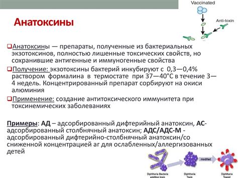 Особенности адсорбированного анатоксина