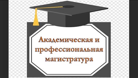 Особенности академической магистратуры в России