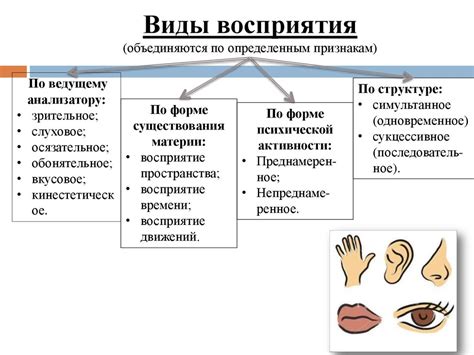 Особенности восприятия