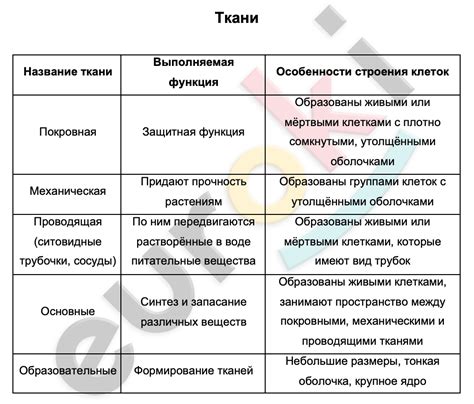 Особенности и свойства