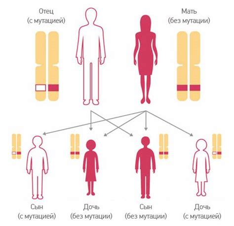 Особенности мутаций гена BRCA