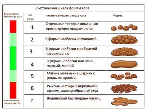 Особенности нормального стула