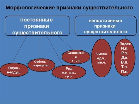 Особенности одиночного существительного