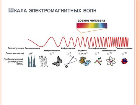 Особенности поперечности электромагнитных волн