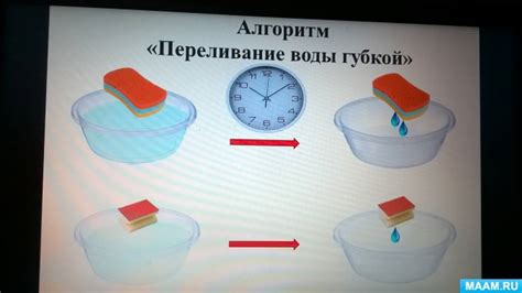 Особенности проведения опытов: основные принципы и процедуры