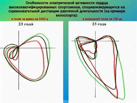 Особенности работы сердца у спортсменов