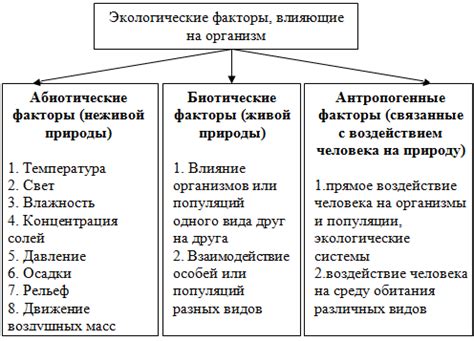 Особенности развития: факторы и влияние