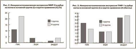 Особенности строения и работы рубца