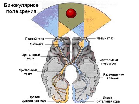 Особенности точки зрения второго лица