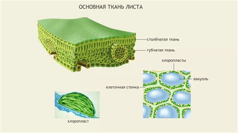 Особенности травленого листа