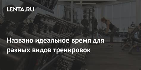 Особенности удлинителя качающегося для разных видов тренировок