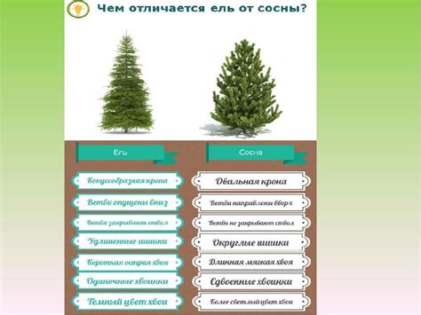 Особенности функции растет быстрее