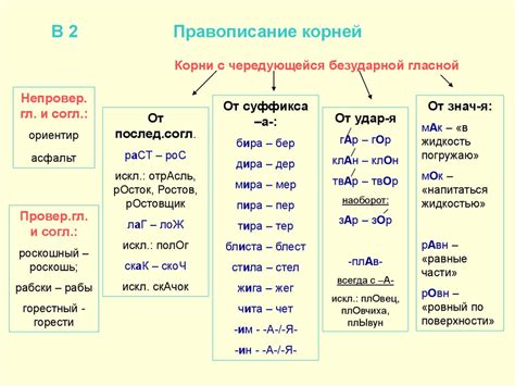 Особенности чередующей гласной корня в русском языке