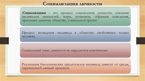 Особенности чистоты в современном обществе