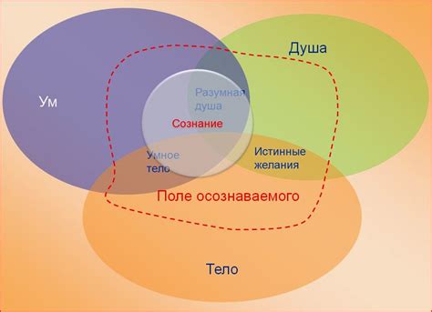 Осознание ценности существования