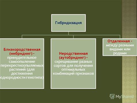 Отбор оптимальных сортов