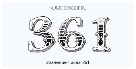 Отгадка загадочного значения числа 361