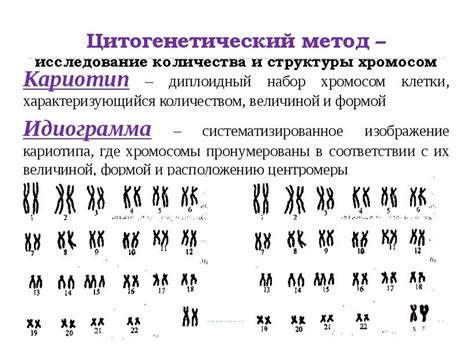 Отклонения в структуре паренхимы