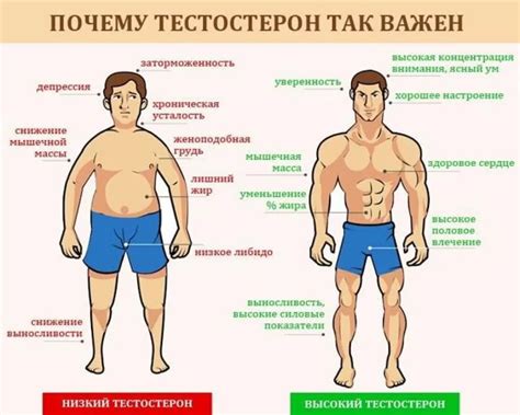 Отлежать все бока: что это значит и как влияет на организм