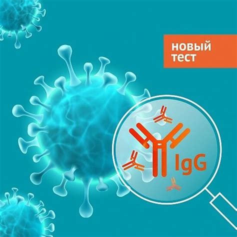 Отличие повышенного уровня IgG антител от других видов антител