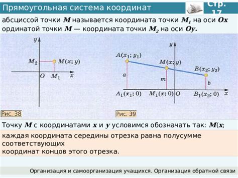 Отличия между ординатой и абсциссой