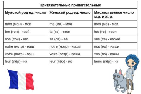 Отличия мэтра от других эпитетов во французском языке