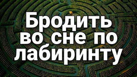 Отношение к жилищу и сущность видений во сне мужчины