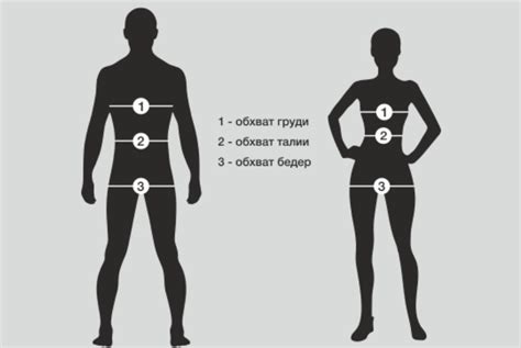 Отношение окружности бедер к здоровью и физической форме