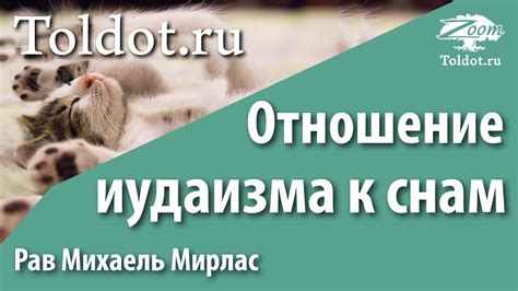 Отношение специалистов к сновидениям о процессе зашивания и их влияние на психологическое состояние