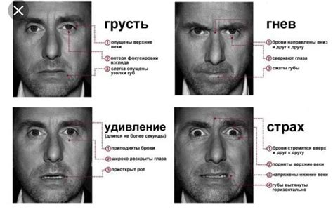 Отражение кривления в мимике и жестах: как распознать скрытые сигналы