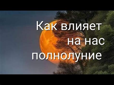 Отрицательные аспекты выражения "плюсую"