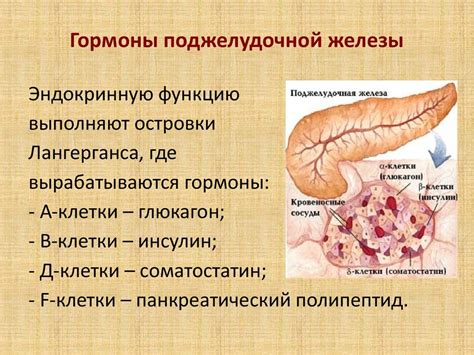 Отрыжка и ее связь с поджелудочной железой