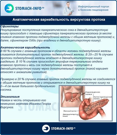 Отсутствие визуализации вирсунгова протока на УЗИ: причины и диагностика