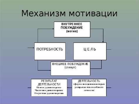 Отсутствие мотивации и внутренней направленности: причины отсутствия движения к цели