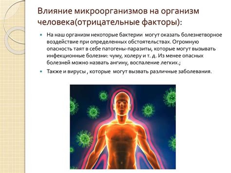 Отсутствие роста патогенных микроорганизмов: его значение и влияние на организм