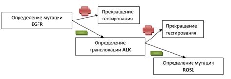 Отсутствие транслокации гена ROS1: что это означает?