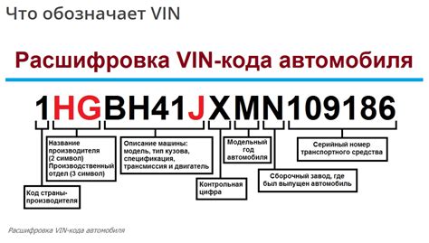 Отсутствие VIN номера в базе данных