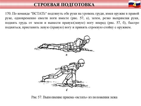 Охранные реакции и способы передвижения