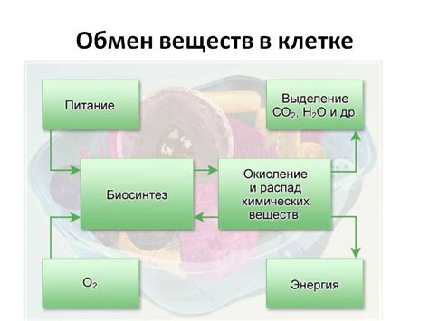 Ошибка в обмене веществ