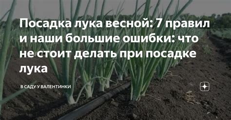 Ошибки при садоводстве: что не стоит делать при посадке растений