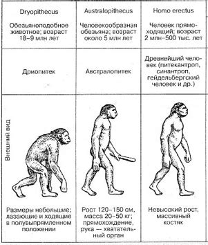 Ощущение и его происхождение